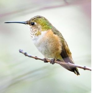 15% off bundles of 2 items or more